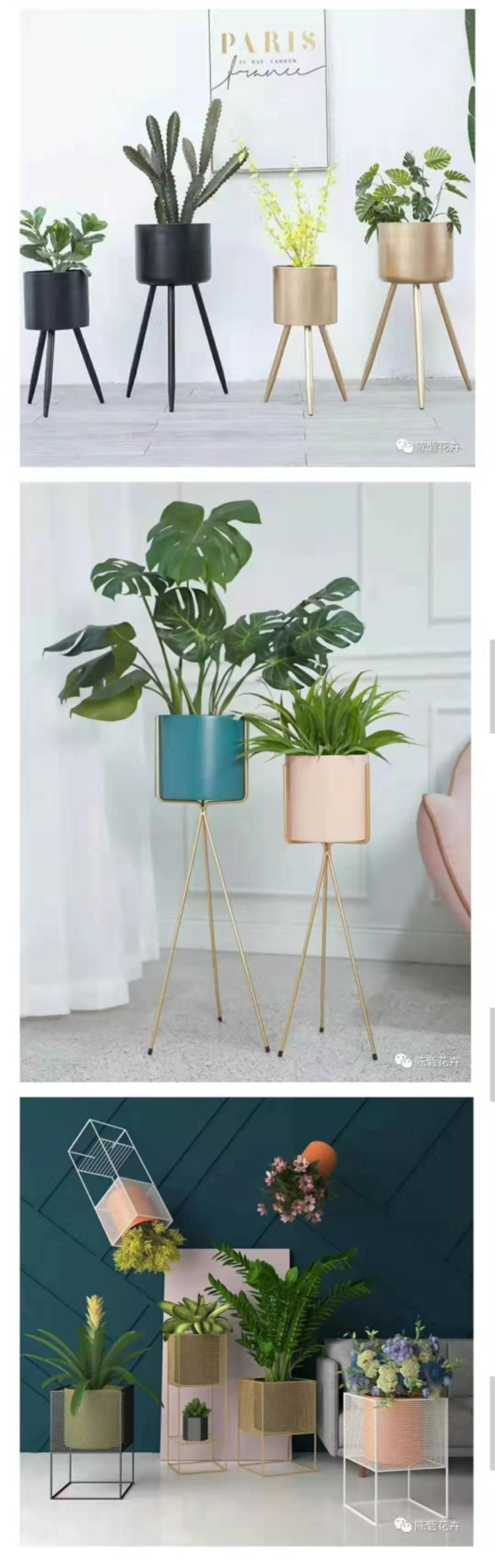 INS風(fēng)網(wǎng)紅花架,給家中添一抹亮麗風(fēng)景 INS風(fēng)網(wǎng)紅花架,給家中添一抹亮麗風(fēng)景