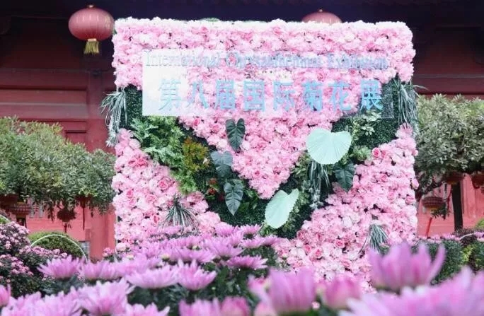 中國開封第37屆菊花文化節(jié)開幕!多彩活動等你來 中國開封第37屆菊花文化節(jié)開幕!多彩活動等你來