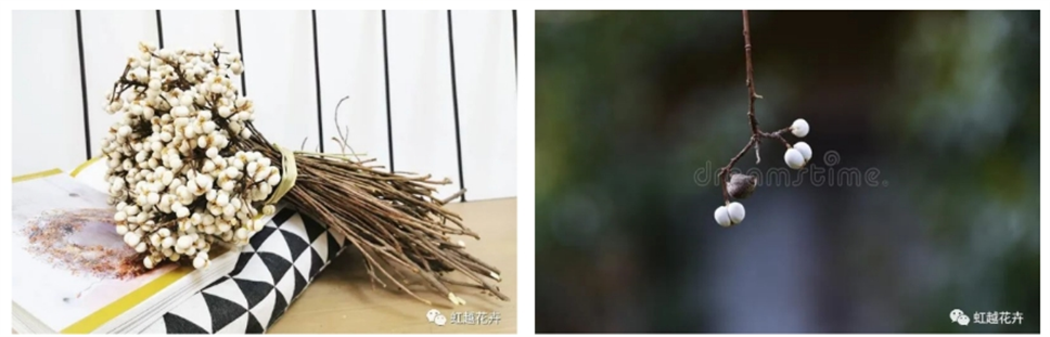 當之無愧最美秋樹，如上帝打翻調(diào)色盤！