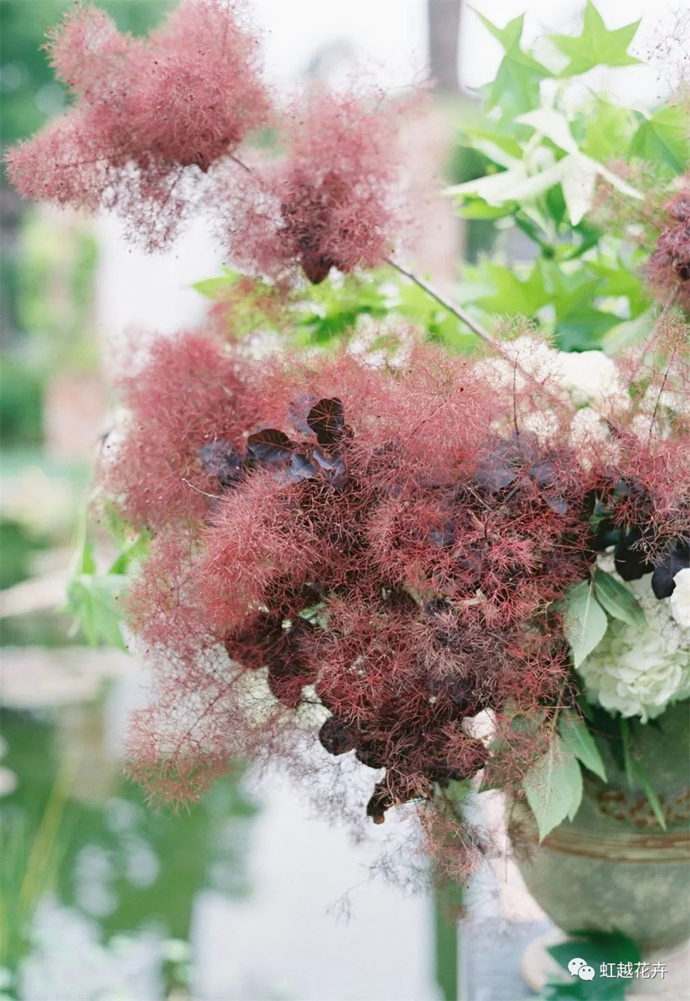 當之無愧最美秋樹，如上帝打翻調(diào)色盤！