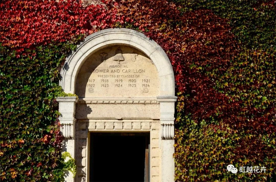 當之無愧最美秋樹，如上帝打翻調(diào)色盤！