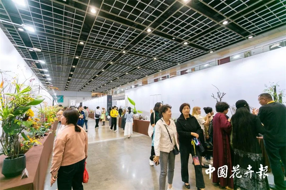 【采薇專欄】傳統(tǒng)插花要破圈兒？17個(gè)流派、名師的200個(gè)作品點(diǎn)亮南京“最美花展”