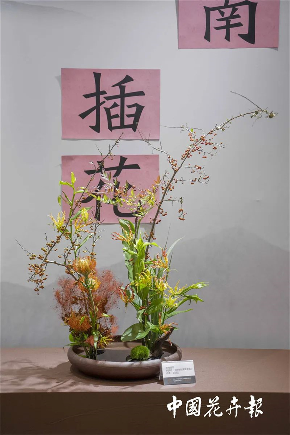 【采薇專欄】傳統(tǒng)插花要破圈兒？17個(gè)流派、名師的200個(gè)作品點(diǎn)亮南京“最美花展”