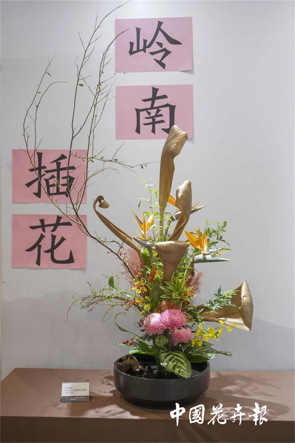 【采薇專欄】傳統(tǒng)插花要破圈兒？17個(gè)流派、名師的200個(gè)作品點(diǎn)亮南京“最美花展”