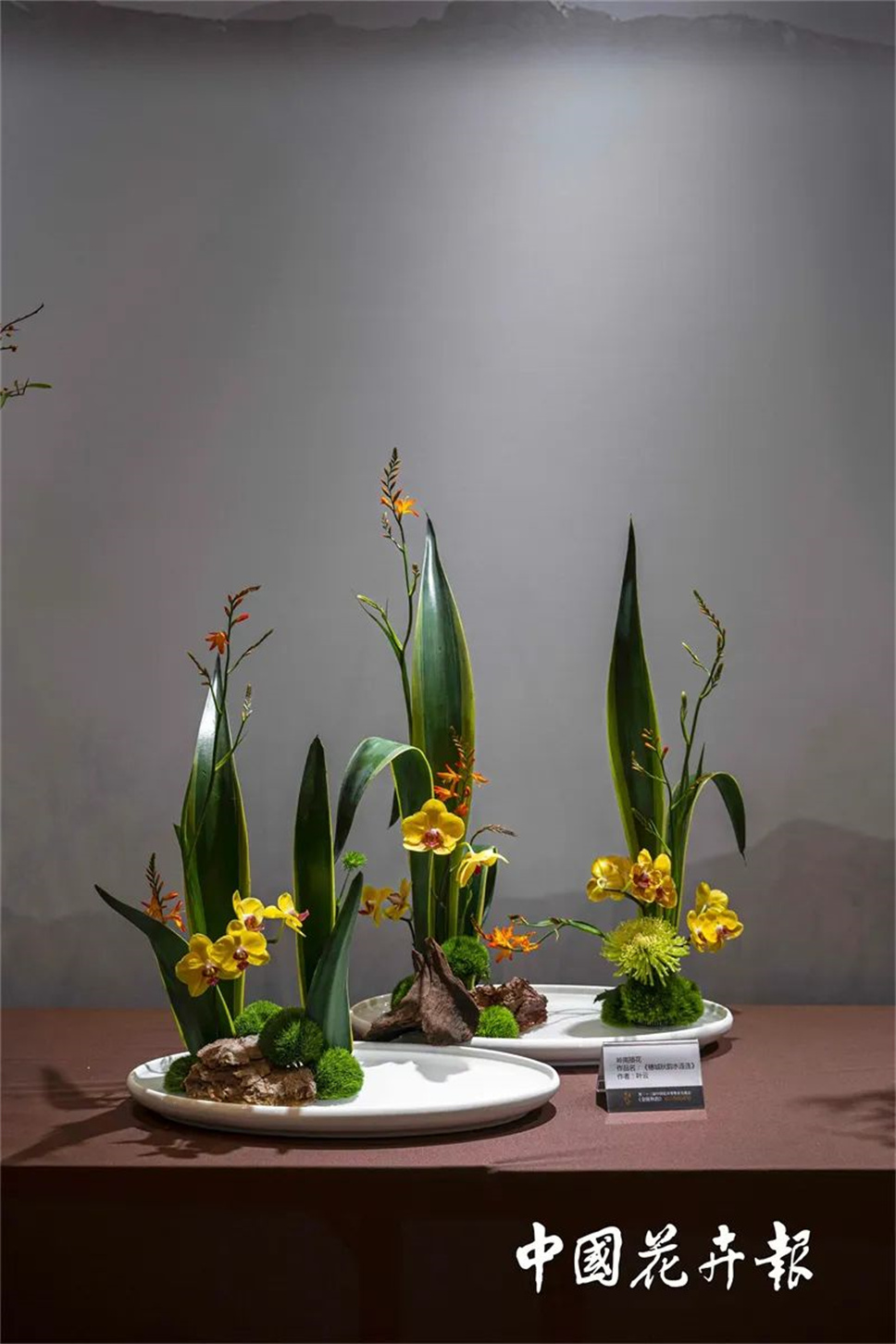 【采薇專欄】傳統(tǒng)插花要破圈兒？17個(gè)流派、名師的200個(gè)作品點(diǎn)亮南京“最美花展”