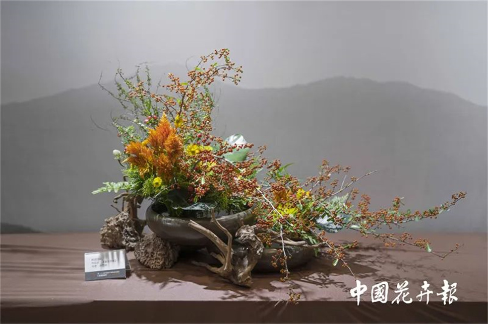 【采薇專欄】傳統(tǒng)插花要破圈兒？17個(gè)流派、名師的200個(gè)作品點(diǎn)亮南京“最美花展”