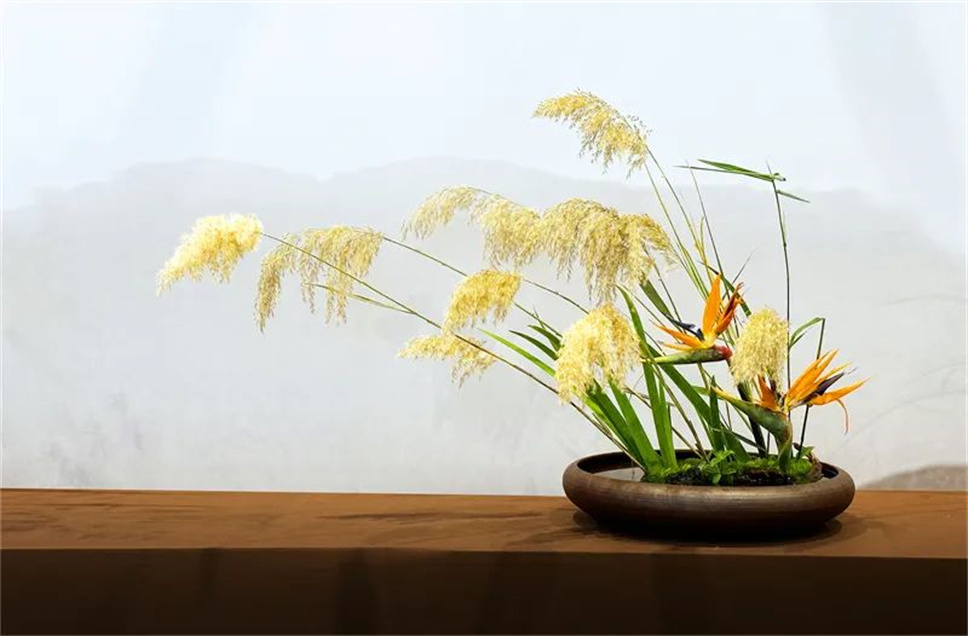 【采薇專欄】傳統(tǒng)插花要破圈兒？17個(gè)流派、名師的200個(gè)作品點(diǎn)亮南京“最美花展”