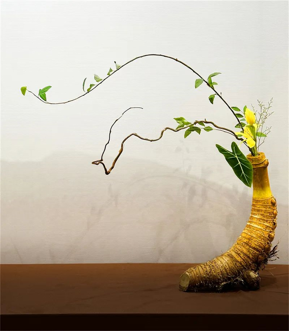 【采薇專欄】傳統(tǒng)插花要破圈兒？17個(gè)流派、名師的200個(gè)作品點(diǎn)亮南京“最美花展”