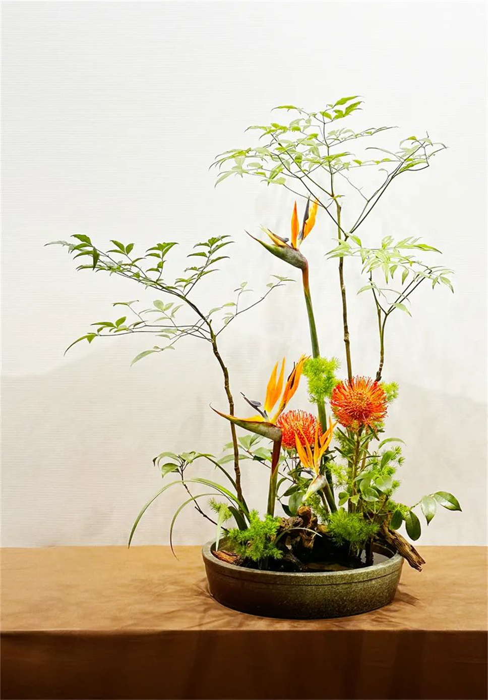 【采薇專欄】傳統(tǒng)插花要破圈兒？17個(gè)流派、名師的200個(gè)作品點(diǎn)亮南京“最美花展”