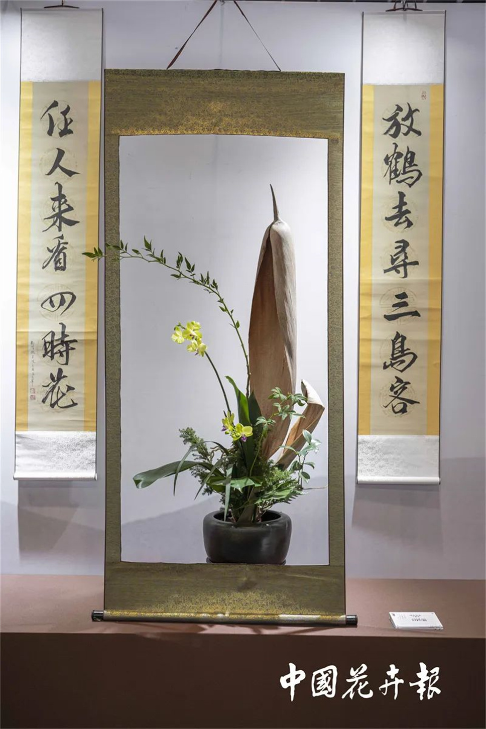 【采薇專欄】傳統(tǒng)插花要破圈兒？17個(gè)流派、名師的200個(gè)作品點(diǎn)亮南京“最美花展”