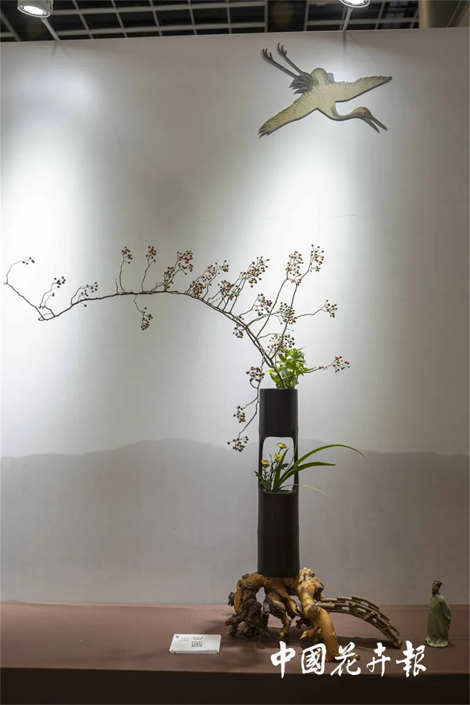 【采薇專欄】傳統(tǒng)插花要破圈兒？17個(gè)流派、名師的200個(gè)作品點(diǎn)亮南京“最美花展”