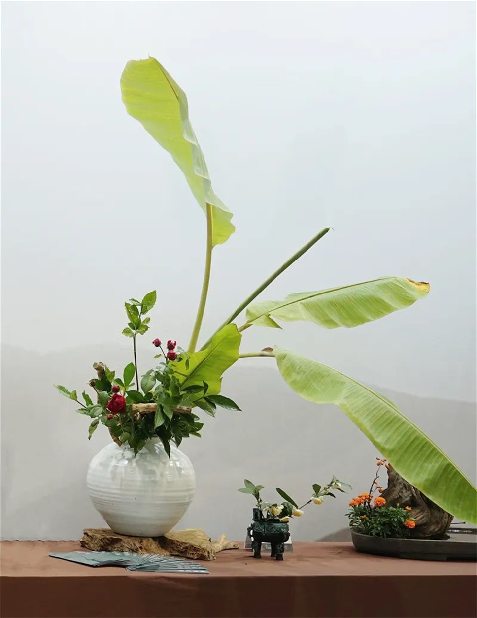 【采薇專欄】傳統(tǒng)插花要破圈兒？17個(gè)流派、名師的200個(gè)作品點(diǎn)亮南京“最美花展”