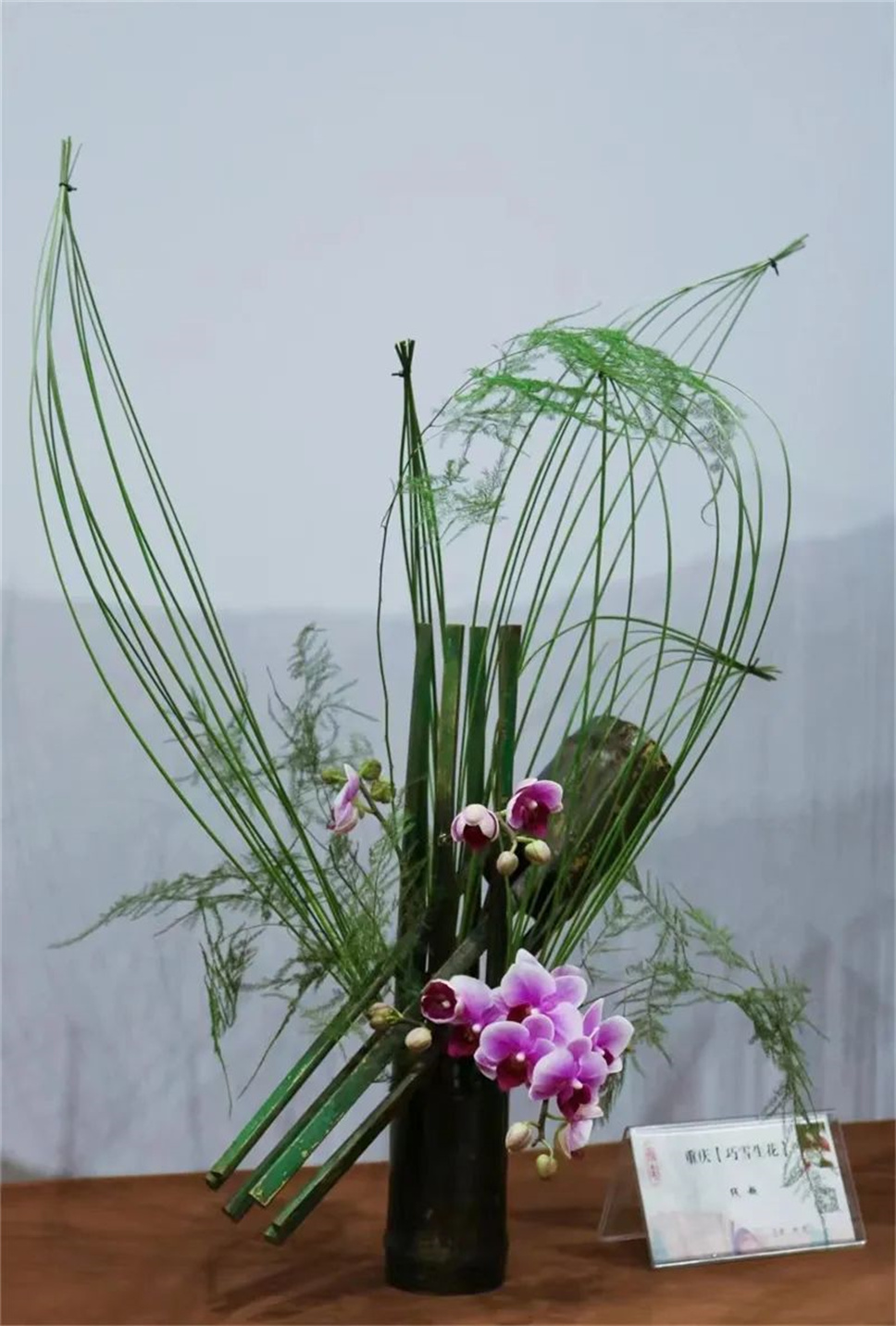 【采薇專欄】傳統(tǒng)插花要破圈兒？17個(gè)流派、名師的200個(gè)作品點(diǎn)亮南京“最美花展”