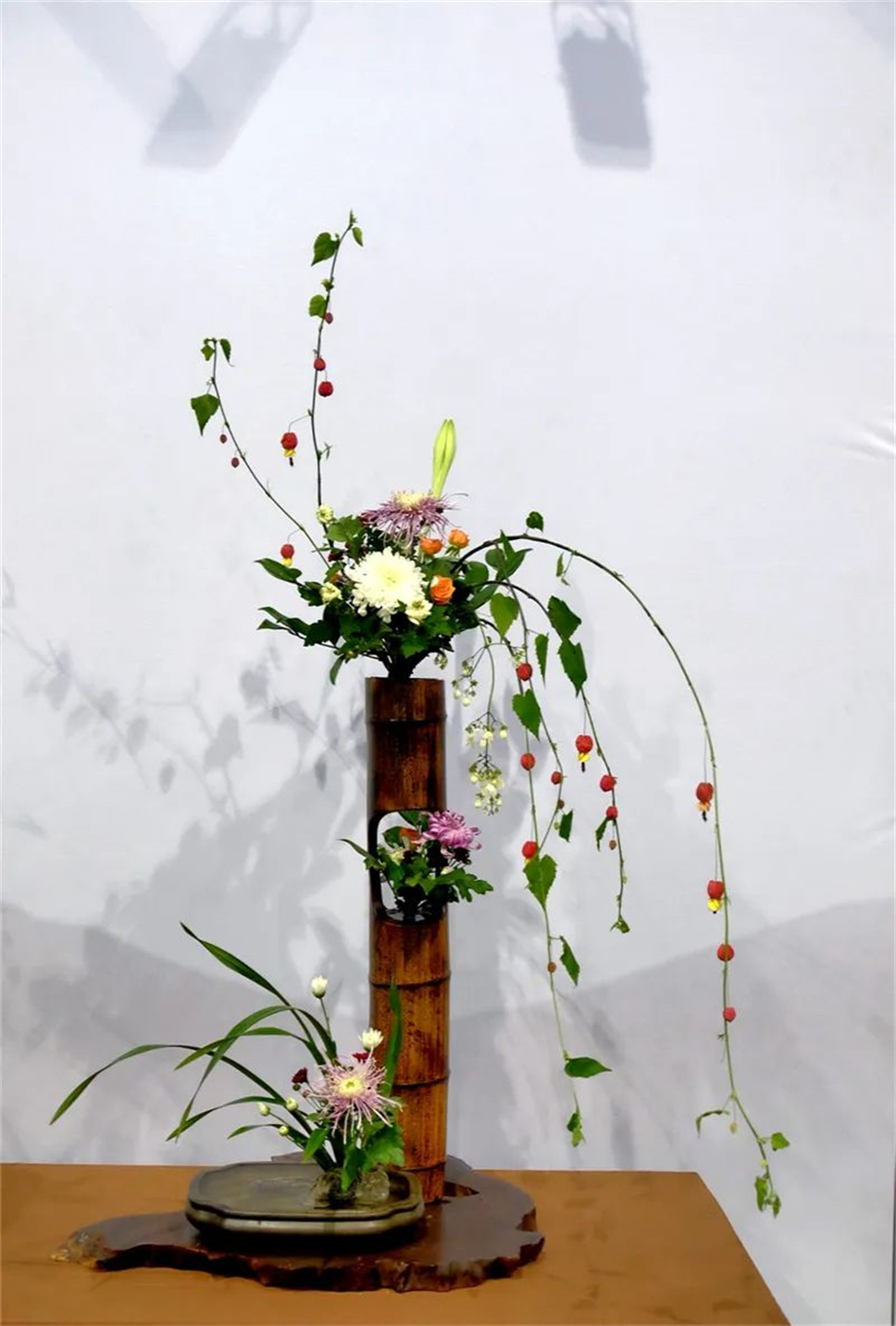 【采薇專欄】傳統(tǒng)插花要破圈兒？17個(gè)流派、名師的200個(gè)作品點(diǎn)亮南京“最美花展”