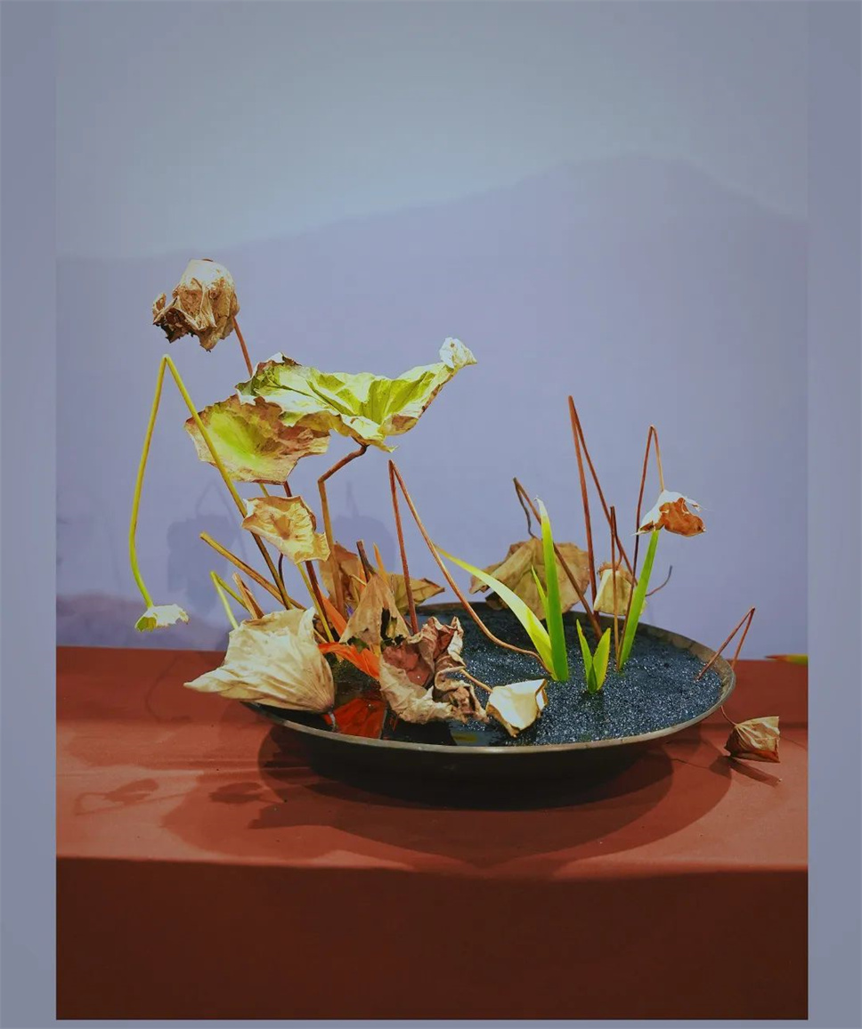 【采薇專欄】傳統(tǒng)插花要破圈兒？17個(gè)流派、名師的200個(gè)作品點(diǎn)亮南京“最美花展”