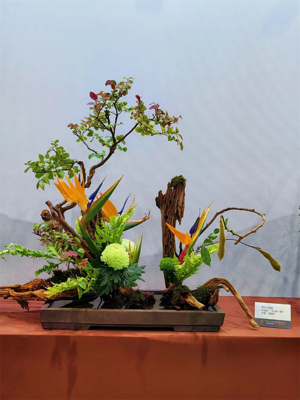 【采薇專欄】傳統(tǒng)插花要破圈兒？17個(gè)流派、名師的200個(gè)作品點(diǎn)亮南京“最美花展”