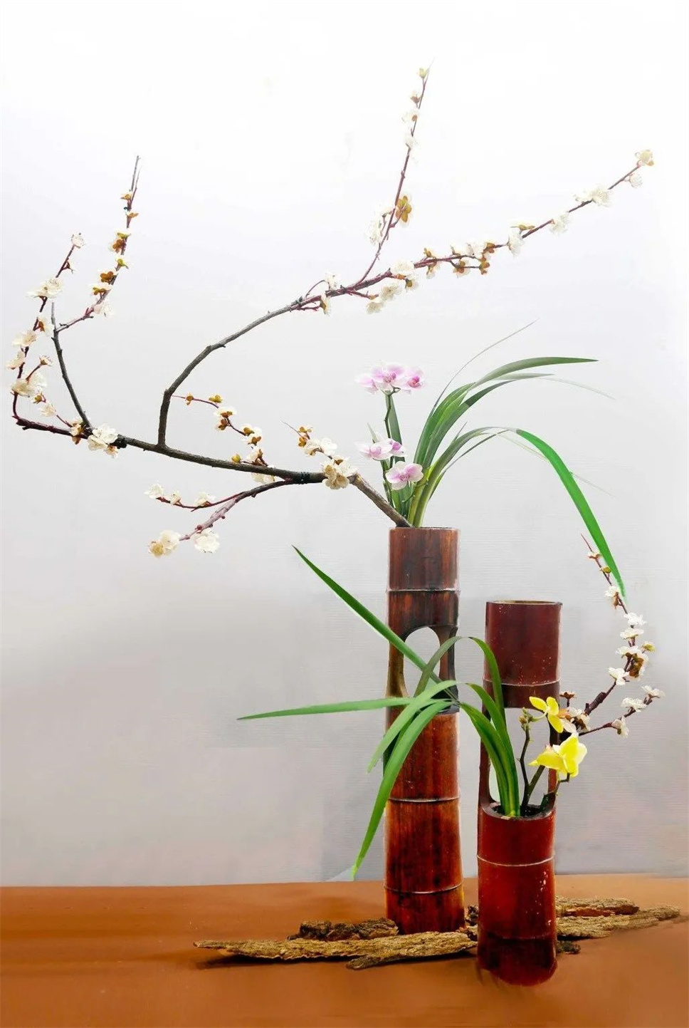 【采薇專欄】傳統(tǒng)插花要破圈兒？17個(gè)流派、名師的200個(gè)作品點(diǎn)亮南京“最美花展”