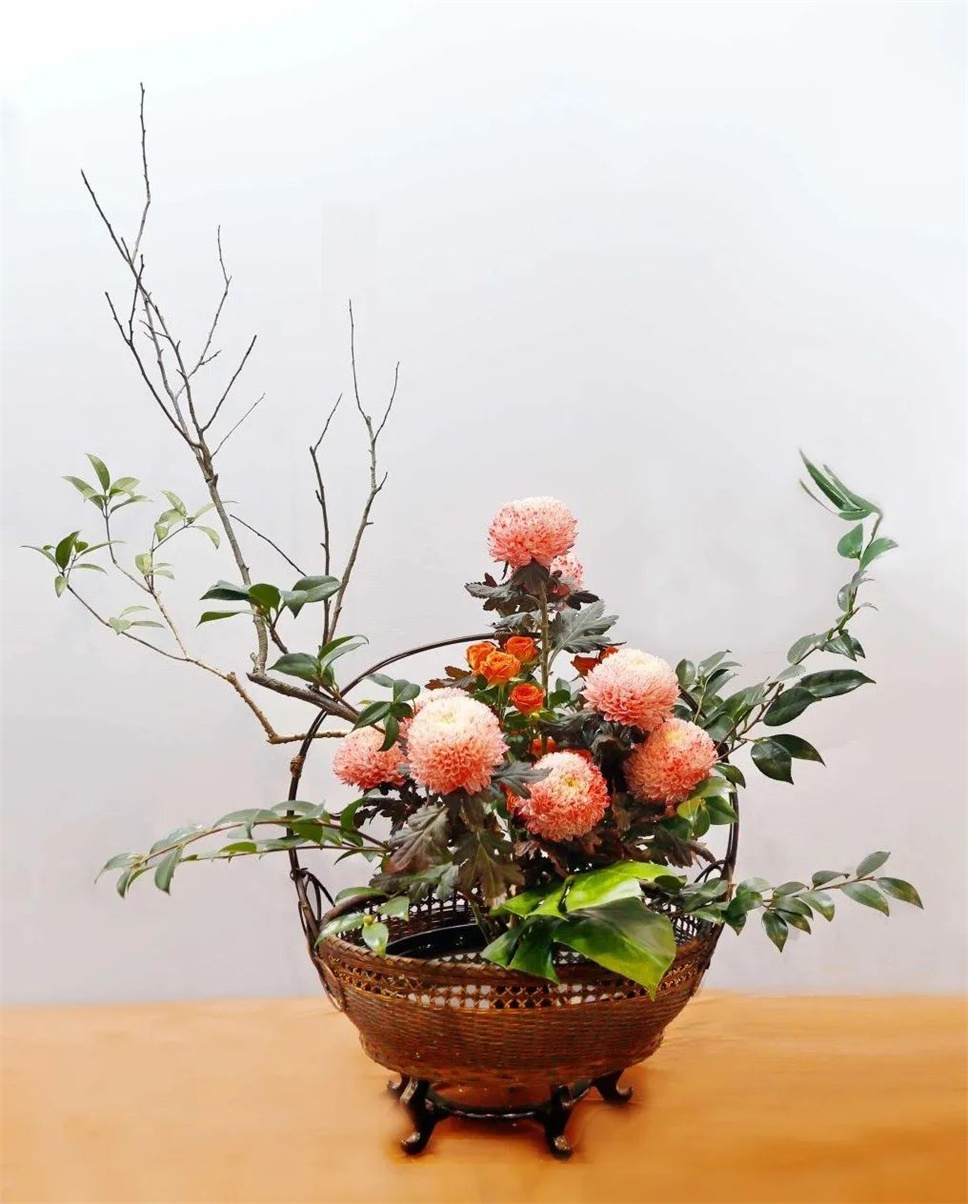 【采薇專欄】傳統(tǒng)插花要破圈兒？17個(gè)流派、名師的200個(gè)作品點(diǎn)亮南京“最美花展”