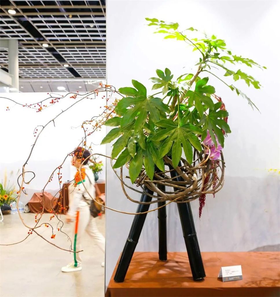 【采薇專欄】傳統(tǒng)插花要破圈兒？17個(gè)流派、名師的200個(gè)作品點(diǎn)亮南京“最美花展”