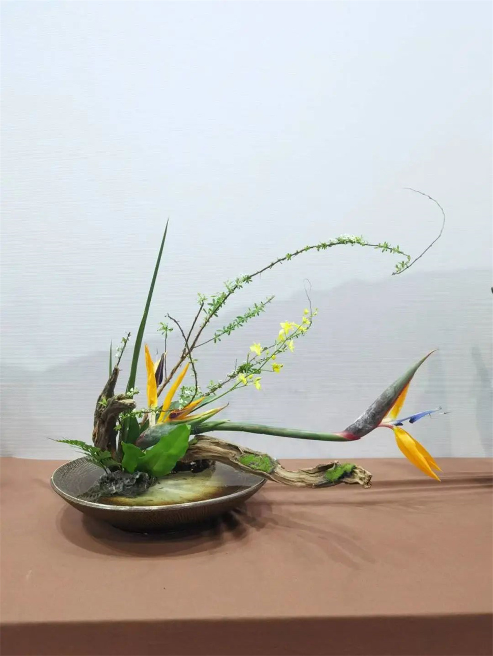 【采薇專欄】傳統(tǒng)插花要破圈兒？17個(gè)流派、名師的200個(gè)作品點(diǎn)亮南京“最美花展”