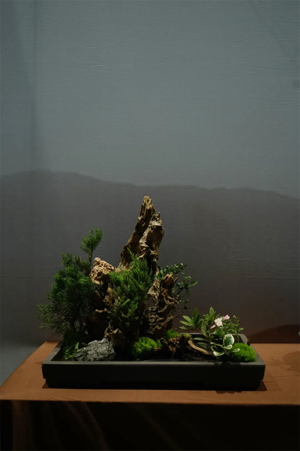 【采薇專欄】傳統(tǒng)插花要破圈兒？17個(gè)流派、名師的200個(gè)作品點(diǎn)亮南京“最美花展”