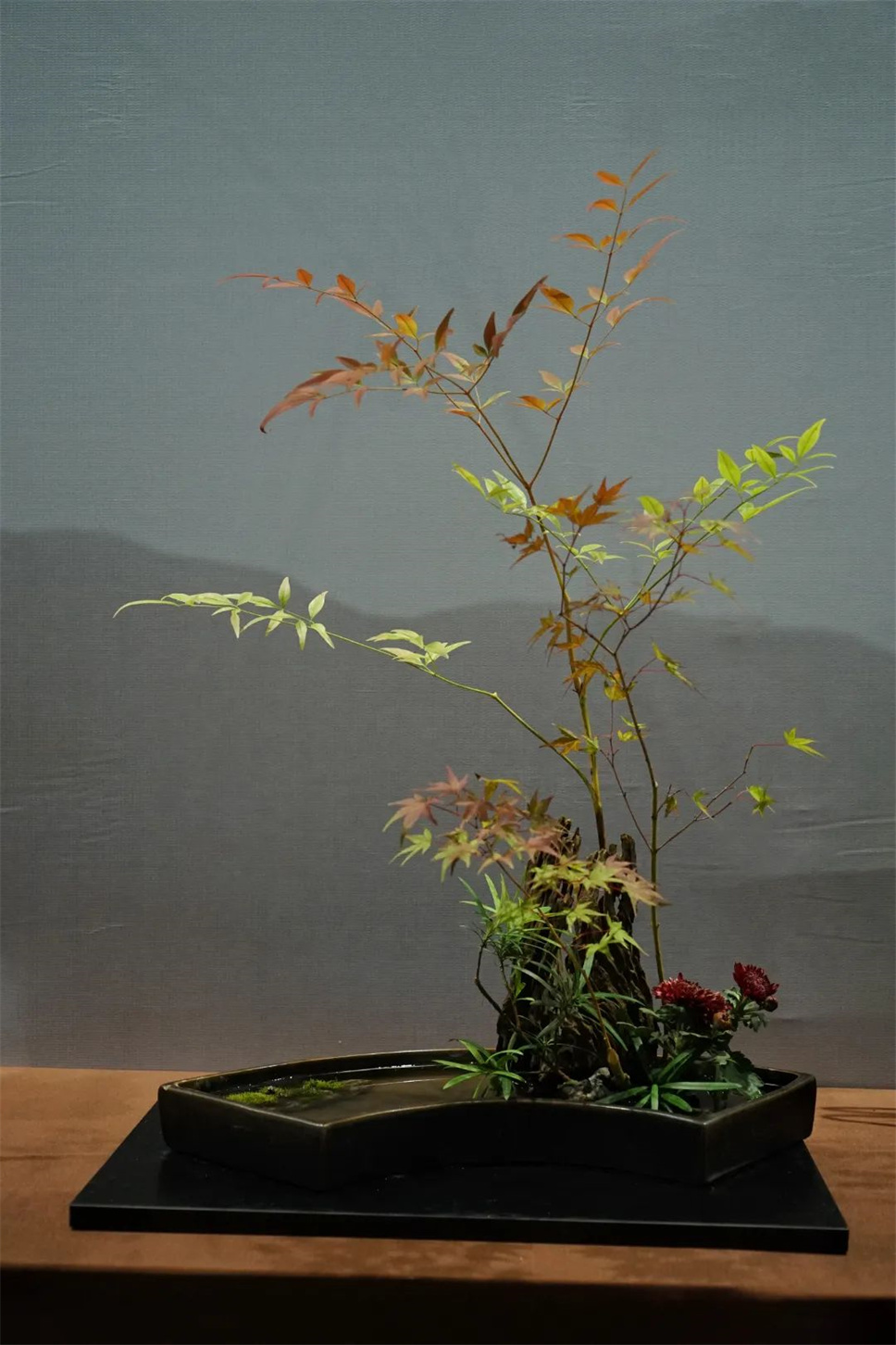 【采薇專欄】傳統(tǒng)插花要破圈兒？17個(gè)流派、名師的200個(gè)作品點(diǎn)亮南京“最美花展”