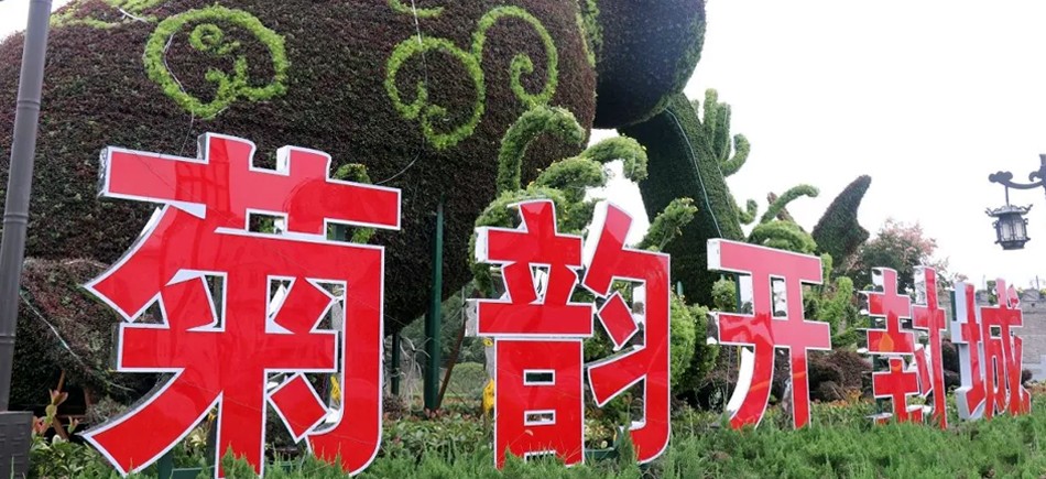 中國開封第37屆菊花文化節(jié)開幕！多彩活動等你來