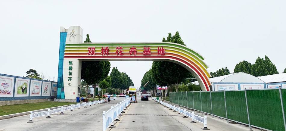 央視關(guān)注惠濟(jì)區(qū)陳砦花卉雙橋基地增強(qiáng)商戶信心 積極打造鄭州花卉品牌