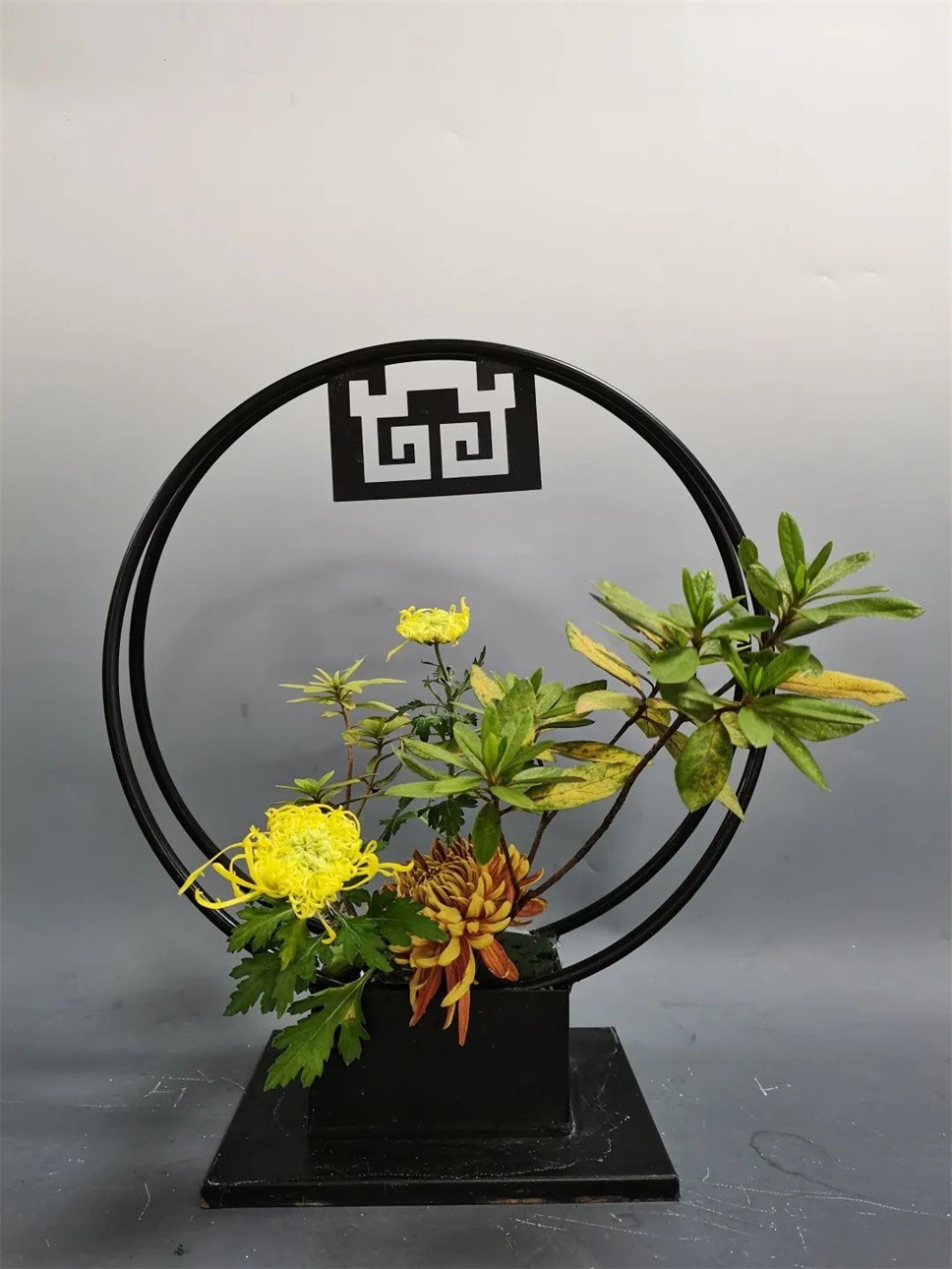 【采薇專欄】傳統(tǒng)插花要破圈兒？17個(gè)流派、名師的200個(gè)作品點(diǎn)亮南京“最美花展”